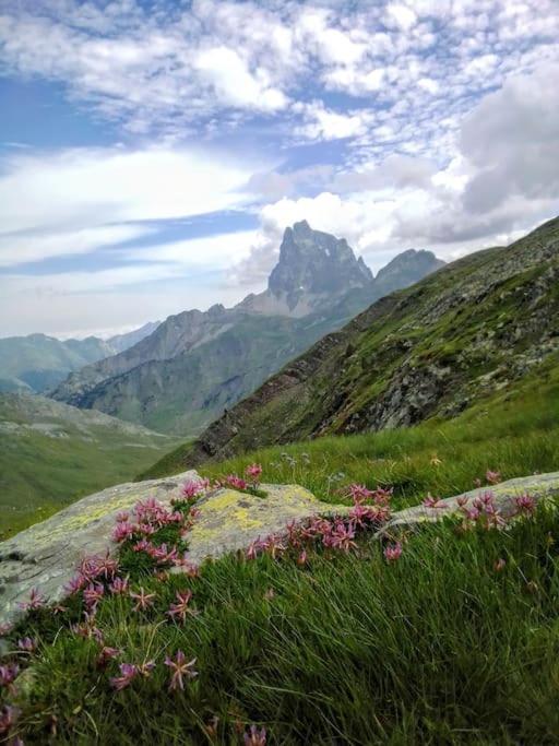 Апартаменти Atico La Flor Del Sol Канфранк Екстер'єр фото
